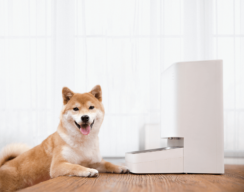 Xiaomi Smart Pet Food Feeder (BHR6143EU)