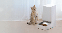 Xiaomi Smart Pet Food Feeder (BHR6143EU)