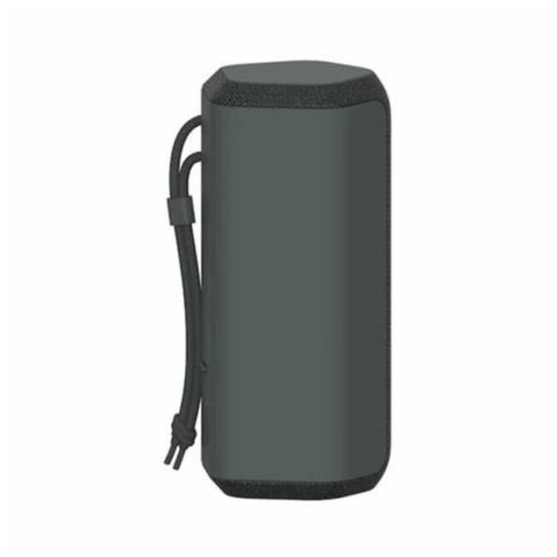 Enceinte Sony portable Bluetooth XE200 Noir (SRS-XE200/BCE)