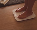 Mi Smart Scale 2 (NUN4056GL)