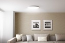 Mi Smart LED Ceiling Light (450mm)