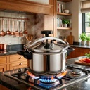 Cocotte-Minute Pandiani 9L Acier Inoxydable | Prix Maroc