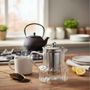 grand-panier-infuseur-inox-theiere-verre-750ml