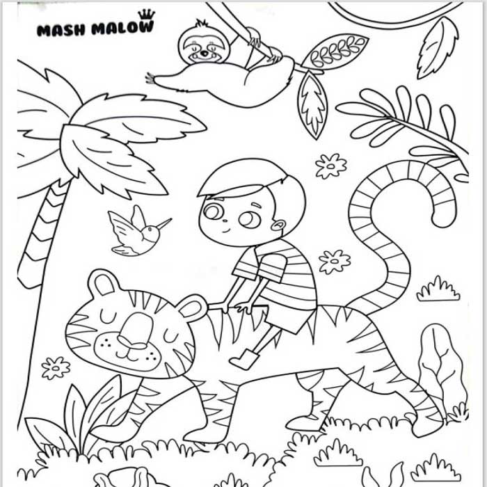 coffret-cadeau-set-coloriage-jungle-post-gift-box-mash-malow-busquets-bazarcom-maroc