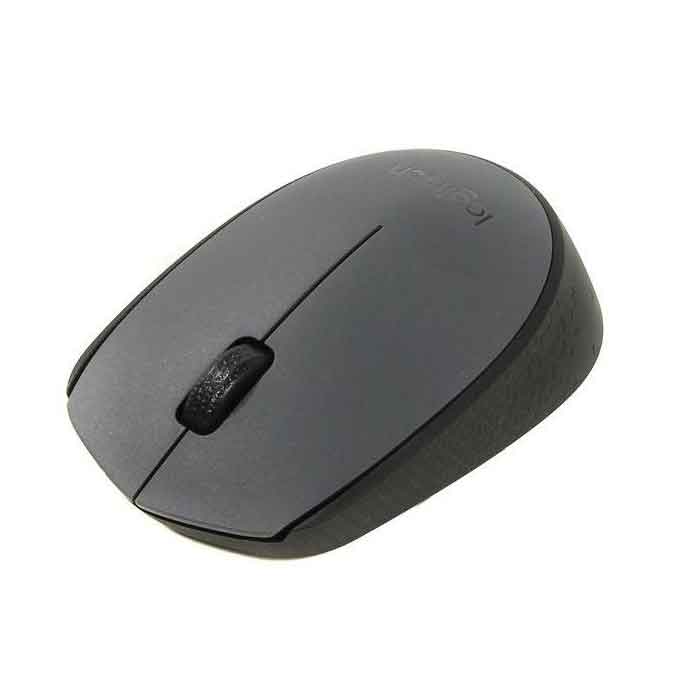 Souris sans fil Logitech M170 grise avec nano-récepteur USB