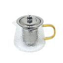 Pandiani Théière en verre - 480ml - Résistante au feu - Filtre en acier inoxydable